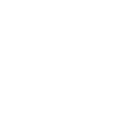 Road Rage Performance